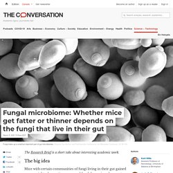 Fungal microbiome: Whether mice get fatter or thinner depends on the fungi that live in their gut