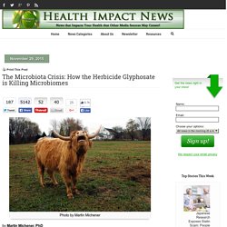 The Microbiota Crisis: How the Herbicide Glyphosate is Killing Microbiomes
