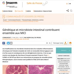 Génétique et microbiote intestinal contribuent ensemble aux MICI
