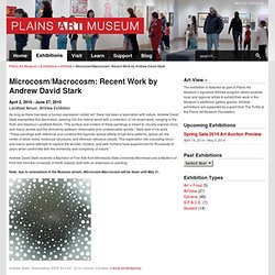 Microcosm/Macrocosm: Recent Work by Andrew David Stark « Exhibitions