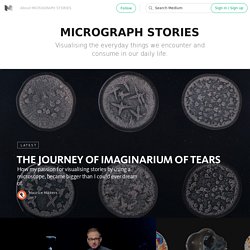 MICROGRAPH STORIES
