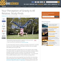 Your Perception of Gravity Is All Relative, Study Finds