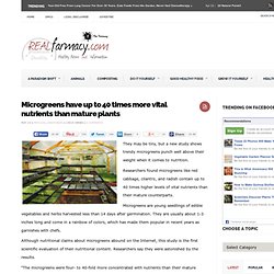 Microgreens have up to 40 times more vital nutrients than mature plants