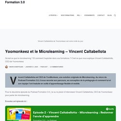 Yoomonkeez et le Microlearning - Vincent Caltabellota