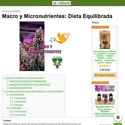 Macro y Micronutrientes: Dieta Equilibrada