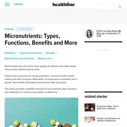 Micronutrients: Types, Functions, Benefits and More