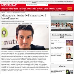 Micronutris, leader de l’alimentation à base d’insectes - 19/01/2016 - ladepeche.fr