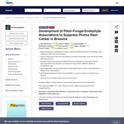 MICROORGANISMS 19/11/21 Development of Plant–Fungal Endophyte Associations to Suppress Phoma Stem Canker in Brassica