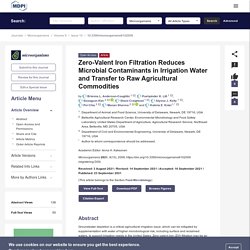 MICROORGANISMS 23/09/21 Zero-Valent Iron Filtration Reduces Microbial Contaminants in Irrigation Water and Transfer to Raw Agricultural Commodities