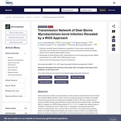 MICROORGANISMS 12/12/19 Transmission Network of Deer-Borne Mycobacterium bovis Infection Revealed by a WGS Approach