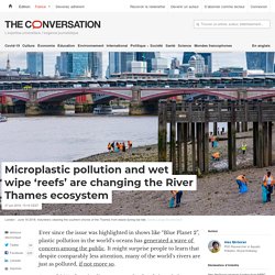 Microplastic pollution and wet wipe ‘reefs’ are changing the River Thames ecosystem