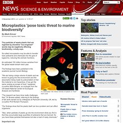 Microplastics 'pose toxic threat to marine biodiversity'