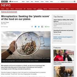 Microplastics: Seeking the 'plastic score' of the food on our plates