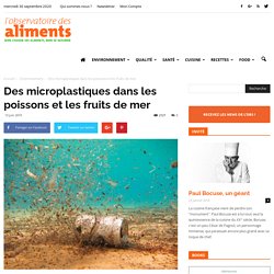Des microplastiques dans les poissons et les fruits de mer