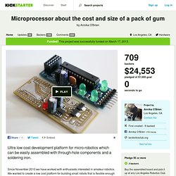 Microprocessor about the cost and size of a pack of gum by Annika O'Brien