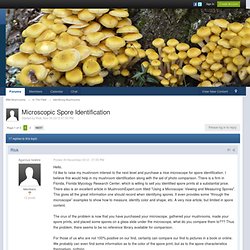 Microscopic Spore Identification - Identifying Mushrooms - Wild Mushrooms