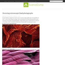 Stunning microscopic food photographs