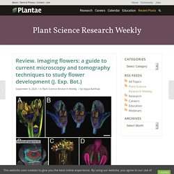 Review. Imaging flowers: a guide to current microscopy and tomography techniques to study flower development (J. Exp. Bot.)