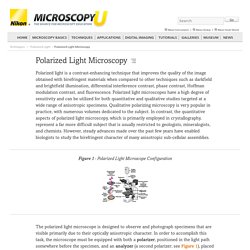 Polarized Light Microscopy