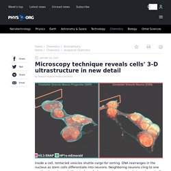 Microscopy technique reveals cells' 3-D ultrastructure in new detail