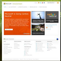 Microsoft Environment