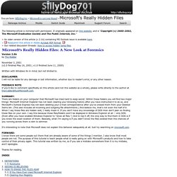 Microsoft's Really Hidden Files - SillyDog701