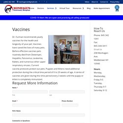 Cat Vaccines Veterinarian Middletown