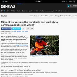 Migrant workers are the worst paid and 'unlikely to complain about stolen wages' - ABC Rural - ABC News