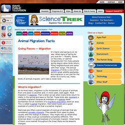 Animal Migration: Facts (Science Trek: Idaho Public Television)