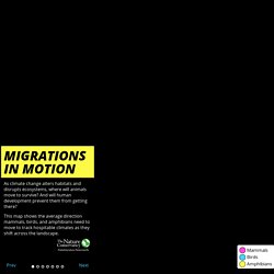 Migrations in Motion - The Nature Conservancy