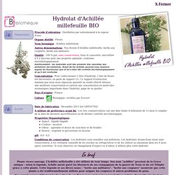 Fiche technique hydrolat (eau florale) d'Achillée millefeuille Bio - Achillea millefolium