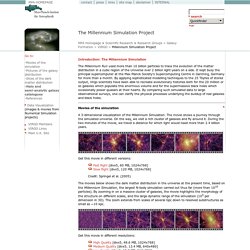 Millennium Simulation Project