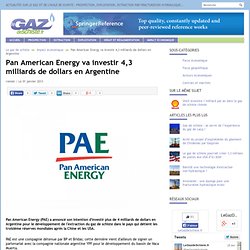 Pan American Energy va investir 4,3 milliards de dollars en Argentine