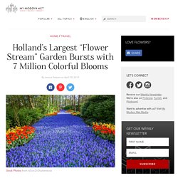 Enjoy Over 7 Million Blooms in Holland's Largest Flower Garden