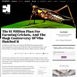 The $1 Million Plan For Farming Crickets, And The Huge Controversy Of Who Hatched It