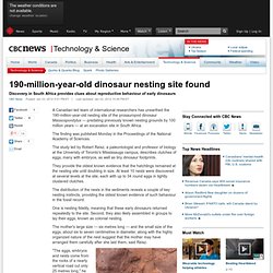 190-million-year-old dinosaur nesting site found - Technology & Science