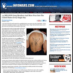 » 1.4 MILLION Gang Members And More Pour Into The United States Every Single Day Alex Jones