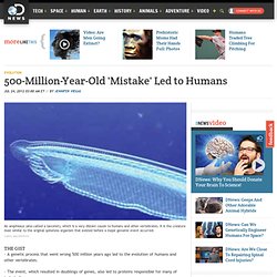 500 Million-Year-Old 'Mistake' Led to Humans