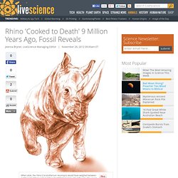 Rhino 'Cooked to Death' 9 Million Years Ago, Fossil Reveals