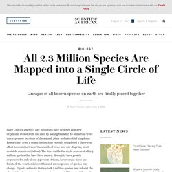 All 2.3 Million Species Are Mapped into a Single Circle of Life