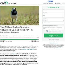 texte de la pétition: Two Million Birds a Year Are Vacuumed Up and Killed for This Ridiculous Reason
