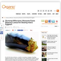 Slumcrop Millionaires: Monsanto Faces Biopiracy Lawsuit for Stealing India’s Eggplant « OrganicAuthority.com – Organic Blog