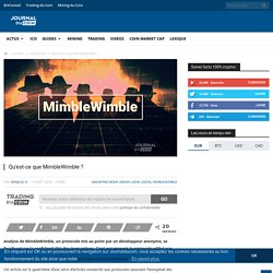 Analyse MimbleWimble : un concurrent pour Bitcoin