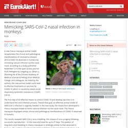 EUREKALERT 12/11/20 Mimicking SARS-CoV-2 nasal infection in monkeys