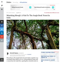 Mimicking Mowgli: A Visit To 'The Jungle Book' Forest In India