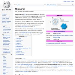 Mimivirus