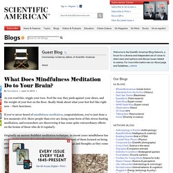 What Does Mindfulness Meditation Do to Your Brain? - Guest Blog - Scientific American Blog Network