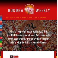 What's so special about Hayagriva? This wrathful Heruka emanation of Amitabha, with horse head erupting from fiery hair, literally neighs with the Hrih scream of Wisdom - Buddha Weekly: Buddhist Practices, Mindfulness, Meditation
