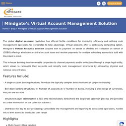 Mindgate’s Virtual Account Management Solution