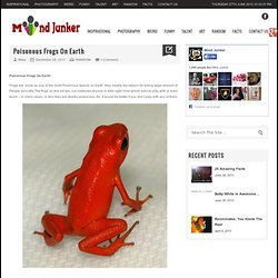 Poisonous Frogs On Earth